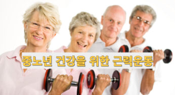 [건강] 노인 근력 운동의 중요성과 효과