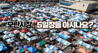 [장소] 모란시장, 5일장을 아시나요?