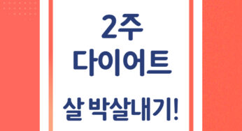[건강] 확실히 3kg만 빼보자, 2주 다이어트로 살 박살내기 도전!