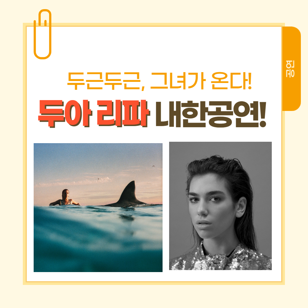 [공연] 두아 리파(dua lipa) 내한 공연 : 한국 팬들을 위한 환상적인 라이브 무대